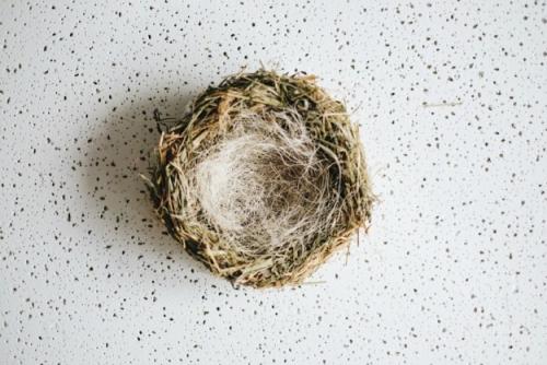 Как сделать декоративное гнездо из веток. Декоративное гнездо своими руками