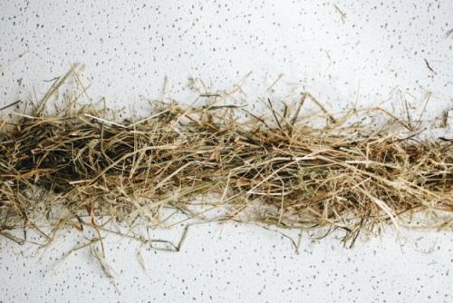 Как сделать декоративное гнездо из веток. Декоративное гнездо своими руками