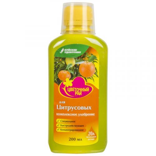 Мандариновые деревья дома. Уход за мандариновым деревом