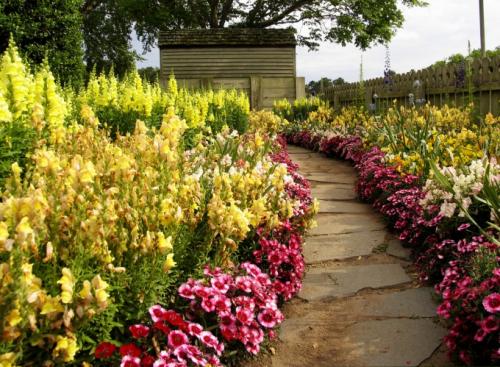 Схема посадки цветочной клумбы. Виды клумб и выбор места