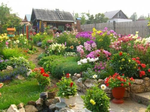 Схема посадки цветочной клумбы. Виды клумб и выбор места