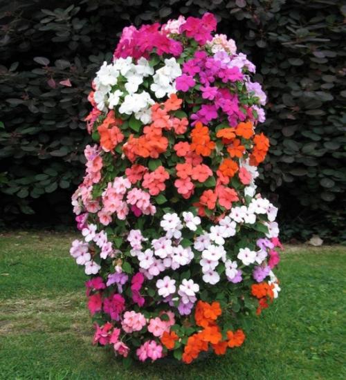 Схема посадки цветочной клумбы. Виды клумб и выбор места