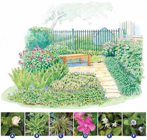 Готовые схемы и проекты клумб. Как сделать красивую клумбу: 15 схем для цветника