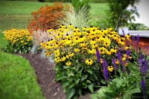 Оформление круглой клумбы. Подбор и высадка растений