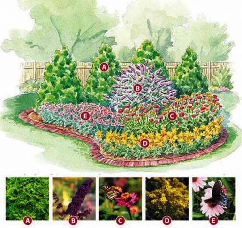 Схема посадки цветочной клумбы. Виды клумб и выбор места