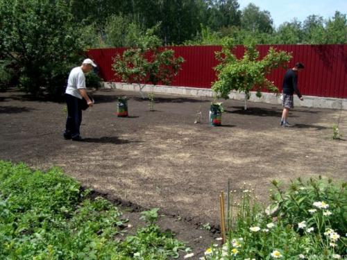 Красивые газоны возле дома. Семена
