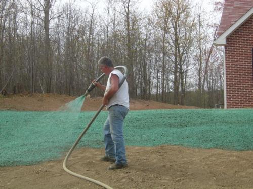 Красивые газоны возле дома. Семена