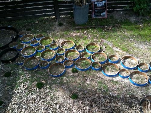 Формы для дорожек своими руками. Собственноручное изготовление форм