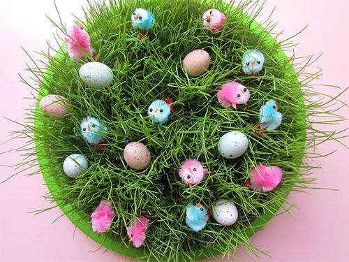 Декоративная трава для дома. Декоративная трава в горшках