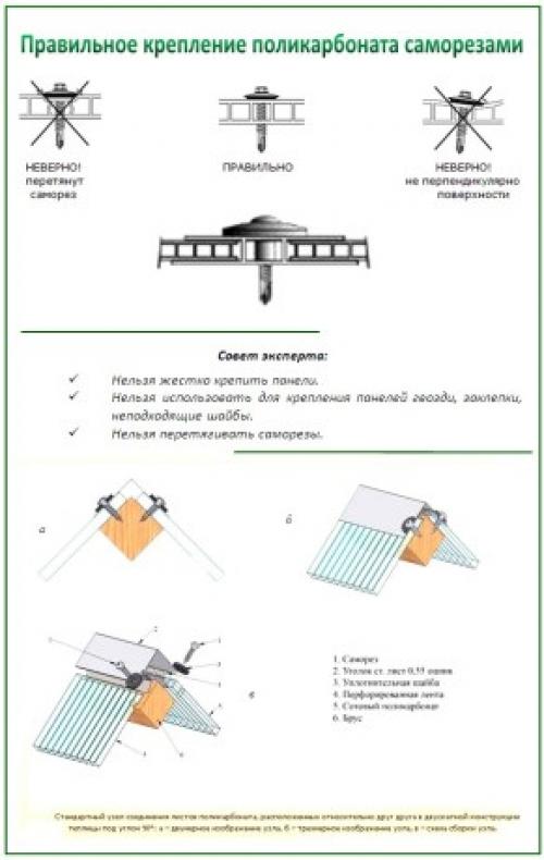 Как обшить теплицу поликарбонатом. Как правильно накрыть готовый каркас теплицы сотовым поликарбонатом 06
