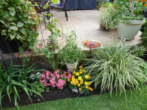 Декоративная низкорослая трава. Декоративная трава — применение в ландшафтном дизайне и подбор злаков (95 фото)