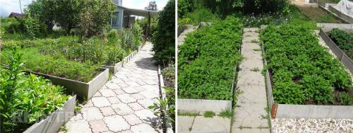 Ограждение для грядок из плоского шифера. Нужны ли такие грядки 01 Ограждение для грядок из плоского шифера. Нужны ли такие грядки 01