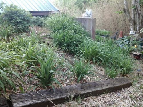 Благоустройство участка на склоне. Участок на склоне: планировка, укрепление склона и организация дренажа (85 фото)