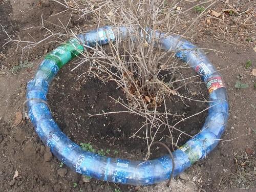 Клумбы из 5 литровых пластиковых бутылок. Дешево и сердито – делаем клумбы из бутылок