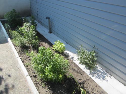 Отмостка красивая вокруг дома. Отмостка дома своими руками —, как сделать защита фундамента? Пошаговая инструкция (71 фото)