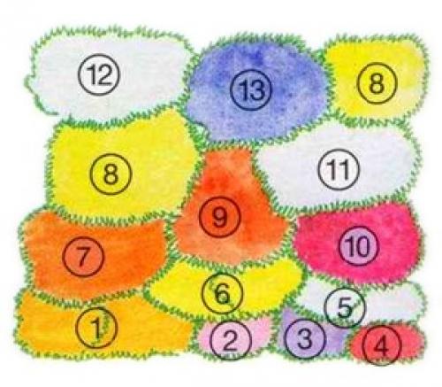 Солнечная клумба из многолетников. Пронзительная симфония красок: потрясающий этюд из многолетников для солнечных мест