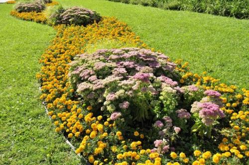 Сад непрерывного цветения многолетников схема посадки. Подбор растений Для клумбы непрерывного цветения можно использовать, как многолетние, так и однолетние, и двулетние растения. Причем рациональнее всего оказывается 15 Сад непрерывного цветения многолетников схема посадки. Подбор растений Для клумбы непрерывного цветения можно использовать, как многолетние, так и однолетние, и двулетние растения. Причем рациональнее всего оказывается 15