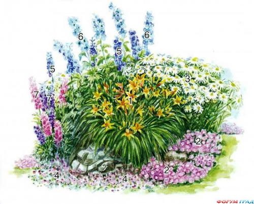 Солнечная клумба из многолетников. Пронзительная симфония красок: потрясающий этюд из многолетников для солнечных мест
