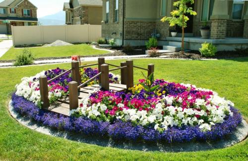 Как организовать клумбу из многолетников. Клумбы из многолетников: правила и особенности выращивания для новичков (85 фото)