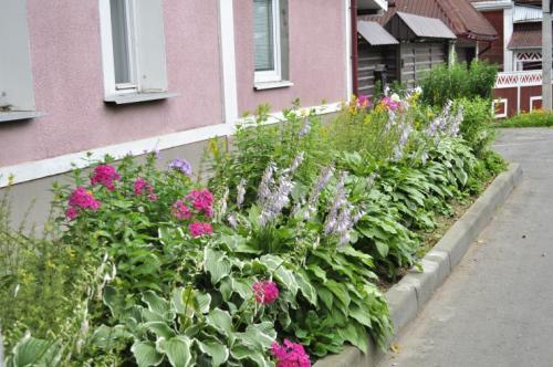 Сад непрерывного цветения многолетников схема посадки. Подбор растений Для клумбы непрерывного цветения можно использовать, как многолетние, так и однолетние, и двулетние растения. Причем рациональнее всего оказывается 12 Сад непрерывного цветения многолетников схема посадки. Подбор растений Для клумбы непрерывного цветения можно использовать, как многолетние, так и однолетние, и двулетние растения. Причем рациональнее всего оказывается 12