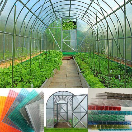 Каким поликарбонатом лучше покрыть теплицу