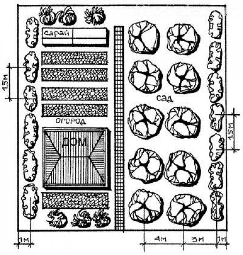 Как расположить огород и сад на участке возле дома. Что нужно знать, перед тем как приступать к планировке? 01