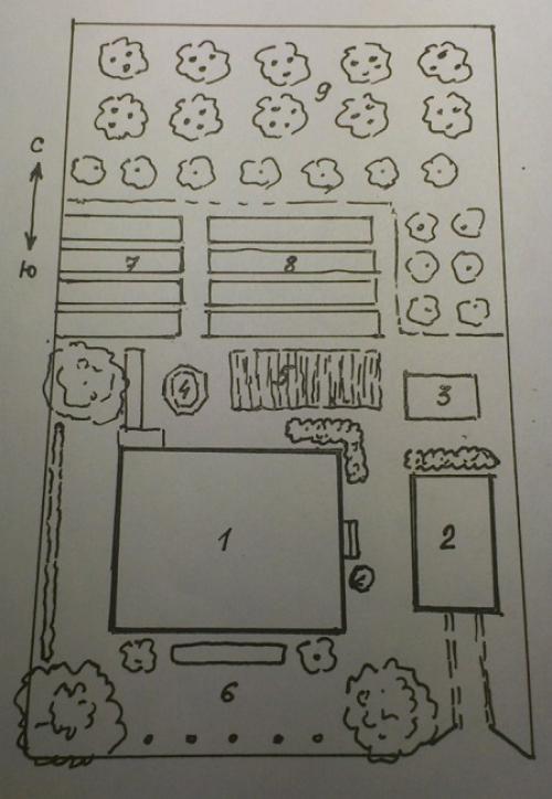 Правильное расположение плодовых деревьев на участке. Составление плана