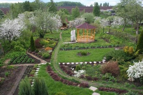 Правильное расположение плодовых деревьев на участке. Составление плана