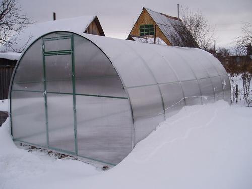 Каким поликарбонатом лучше покрыть теплицу