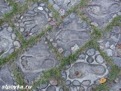 Благоустройство зоны отдыха на даче. Как создать зону отдыха 05 Благоустройство зоны отдыха на даче. Как создать зону отдыха 05