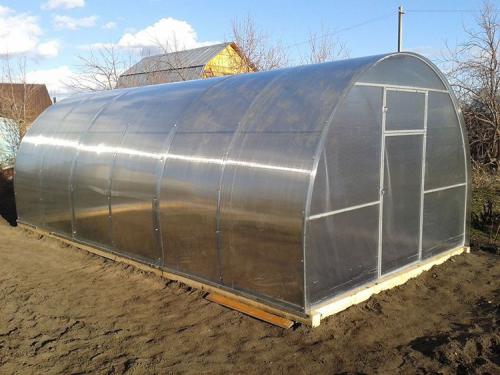 Каким поликарбонатом лучше покрыть теплицу