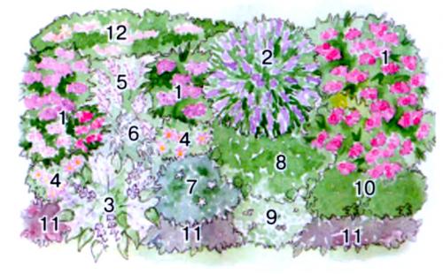 Солнечная клумба из многолетников. Пронзительная симфония красок: потрясающий этюд из многолетников для солнечных мест