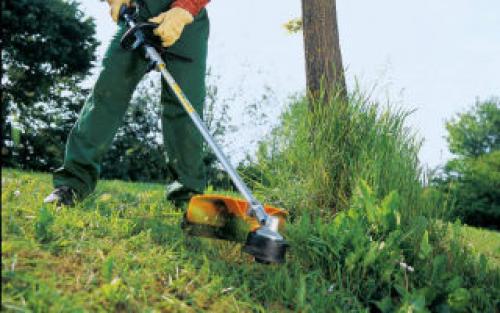 STIHL f. Универсальная бензокоса STIHL FS55. Параметры модели, видео обзоры, отзывы