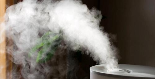 Какие не вредные увлажнители воздуха. Вреден ли увлажнитель воздуха
