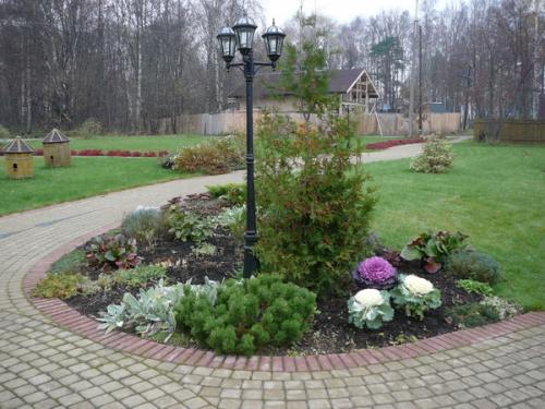 Миксбордеры в ландшафтном дизайне. Шаги по созданию миксбордера на подзолистых почвах