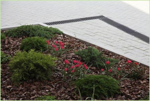 Миксбордеры в ландшафтном дизайне. Шаги по созданию миксбордера на подзолистых почвах