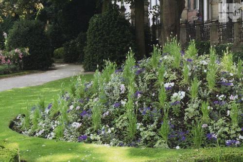 Миксбордеры в ландшафтном дизайне. Шаги по созданию миксбордера на подзолистых почвах