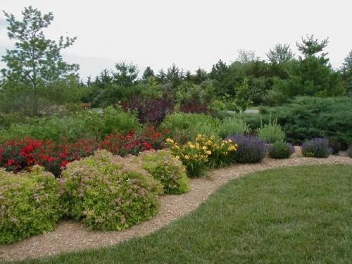 Миксбордеры в ландшафтном дизайне. Шаги по созданию миксбордера на подзолистых почвах