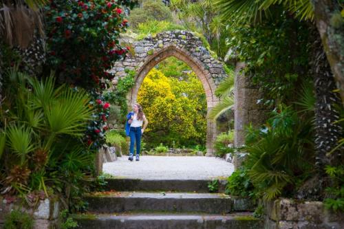 Садовая арка из пластиковых труб своими руками. Садовая арка — советы и инструкции по постройке своими руками (120 фото-идей)