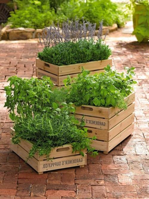 Простой дизайн дачного участка. Лучшие идеи для дачи — дизайнерские идеи для дачи и правила обустройства дачного участка 105 фото