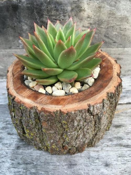 Простой дизайн дачного участка. Лучшие идеи для дачи — дизайнерские идеи для дачи и правила обустройства дачного участка 105 фото