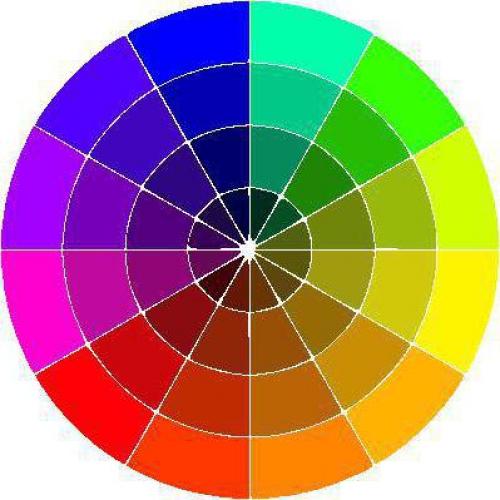 Основы колористики волос для начинающих. Как научиться колористике волос, если ничего в этом не понимаешь 05 Основы колористики волос для начинающих. Как научиться колористике волос, если ничего в этом не понимаешь 05