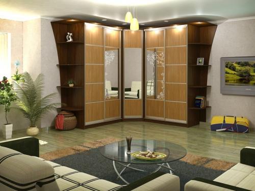 Гостиная с угловым шкафом. Какими могут быть угловые шкафы для гостиной, правила выбора