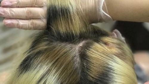 Таблица цветов для колориста. Фон осветления —, что это такое?