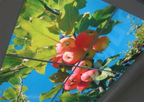 Виды профилей для натяжных потолков. Профиль для натяжного потолка 10