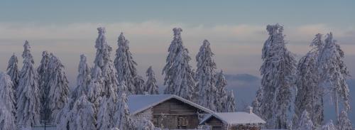 Можно ли проводить строительство дома из профилированного бруса во время первых заморозков. Можно ли жить в доме из бруса зимой?