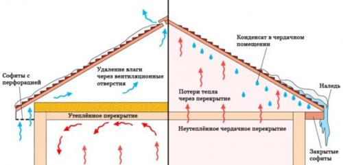 Потолок под крышей в частном доме. Дом с холодным чердаком – чем утеплить потолок