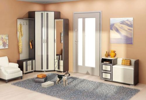 Угловой шкаф в маленькой гостиной. Угловой шкаф в маленькую спальню и прихожую: внутреннее наполнение с размерами, 50 фото