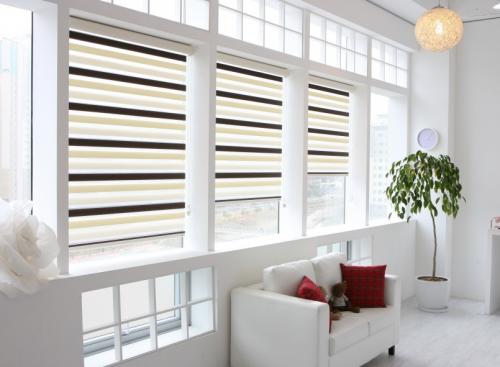 Римские шторы на кухню день-ночь. Шторы День-Ночь: оптимальный современный выбор для дизайна интерьера. 126 фото разновидностей систем