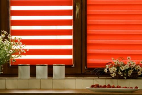 Римские шторы на кухню день-ночь. Шторы День-Ночь: оптимальный современный выбор для дизайна интерьера. 126 фото разновидностей систем